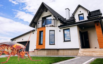 How to Get Rid of Annoying House Pests