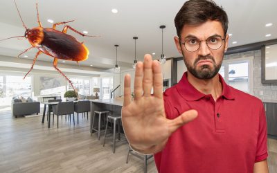 Banish Pests From Your Home With These Fresh Tips!!